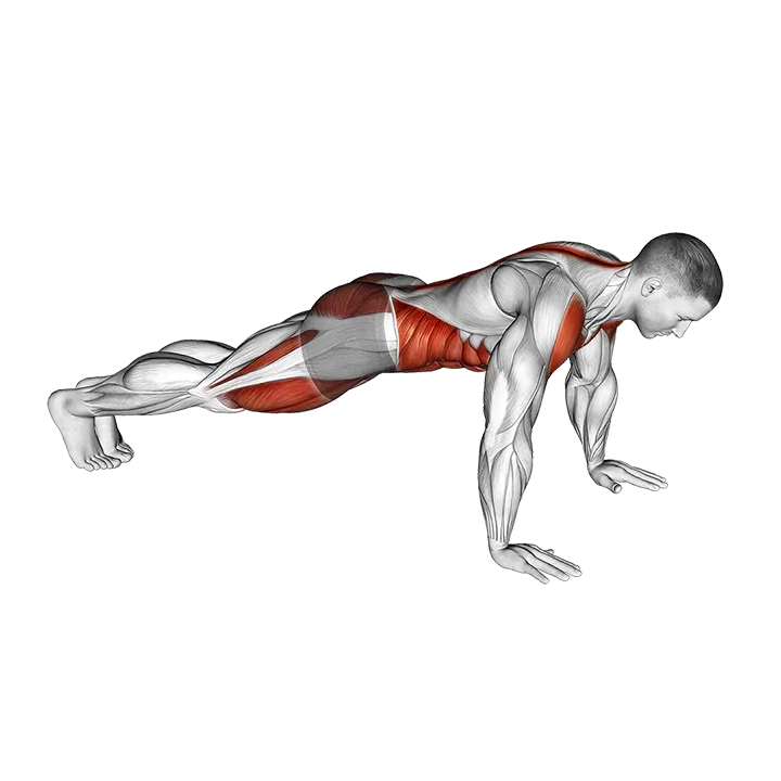 Front Plank to Toe Tap exercise animation (Male)