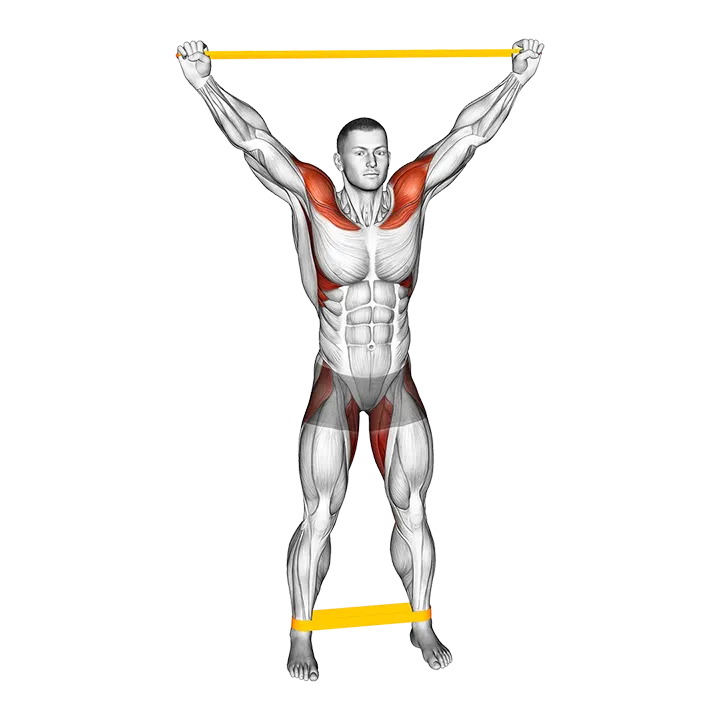 Resistance Band Standing Overhead Warming-up exercise animation (Male)