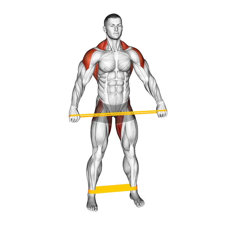 Resistance Band Standing Down Warming-up exercise animation (Male)