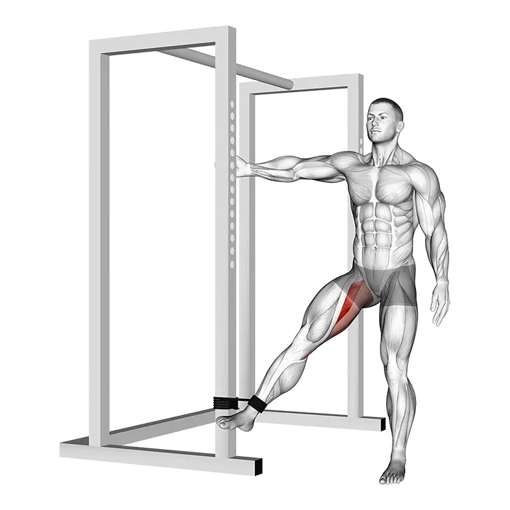 Band Hip Adduction exercise animation (Male)