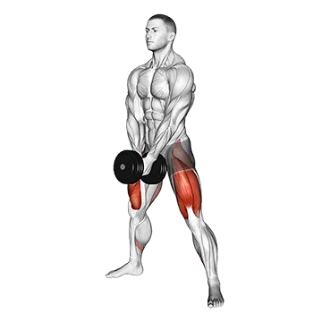 Dumbbell Bar Grip Sumo Squat