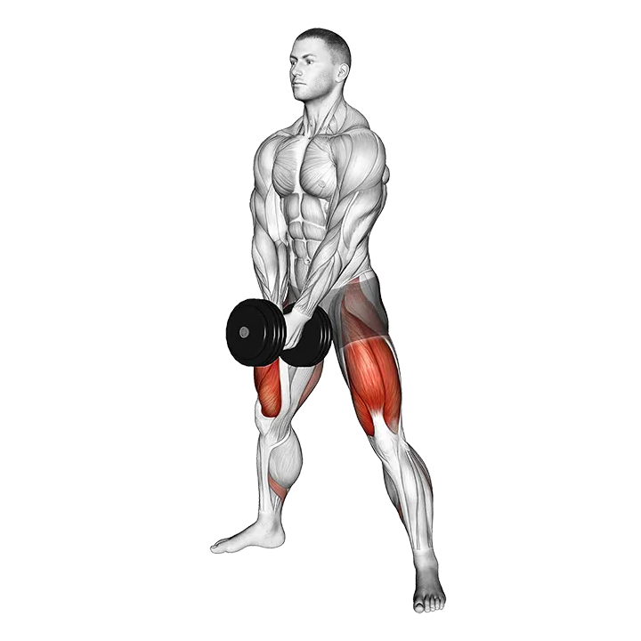 Dumbbell Bar Grip Sumo Squat exercise animation (Male)