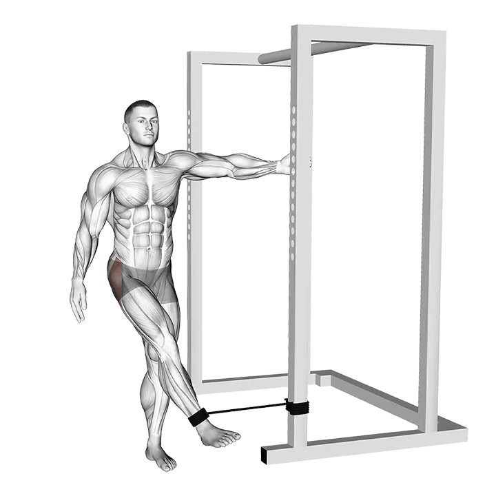Band Hip Abduction exercise animation (Male)
