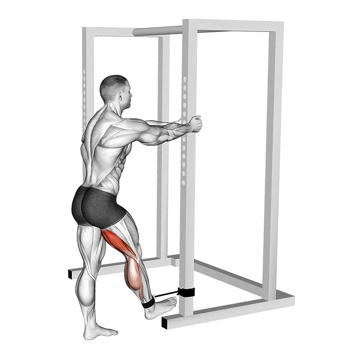 Band Standing Leg Curl exercise animation (Hombre)