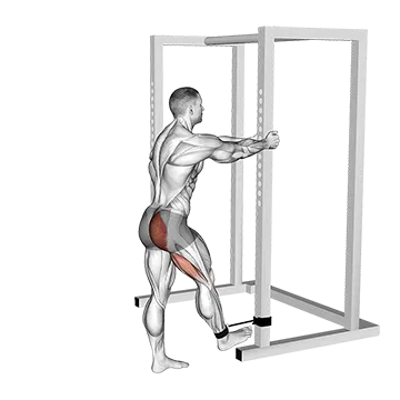 Band Standing Hip Extension