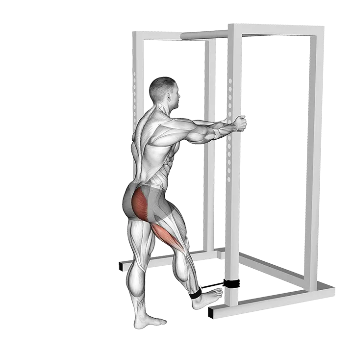 Band Standing Hip Extension exercise animation (Male)