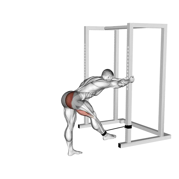 Band Bent-over Hip Extension exercise animation (Male)