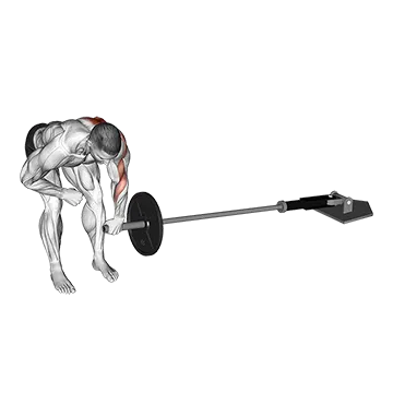 Landmine One Arm Bent-Over Row