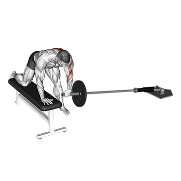Landmine One Arm Bent-Over Bench Row