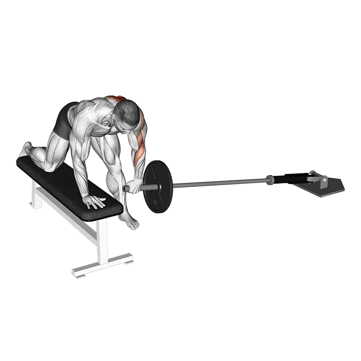 Landmine One Arm Bent-Over Bench Row exercise animation (Male)