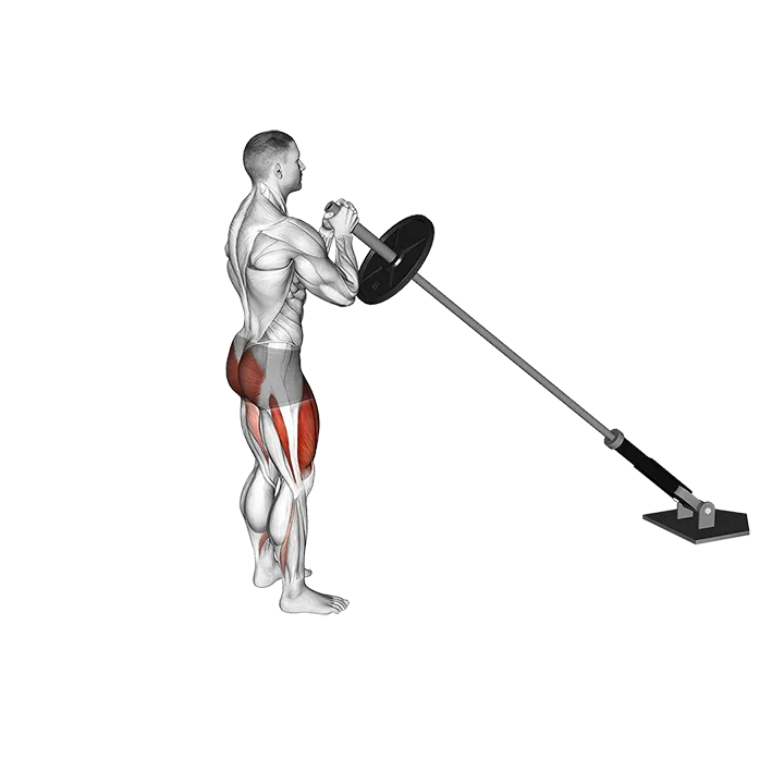 Landmine Rear Lunge (VERSION 2) exercise animation (Male)