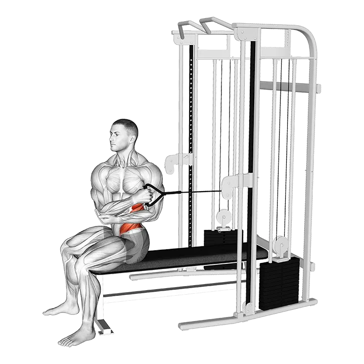 Cable Seated Cross Arm Twist exercise animation (Male)