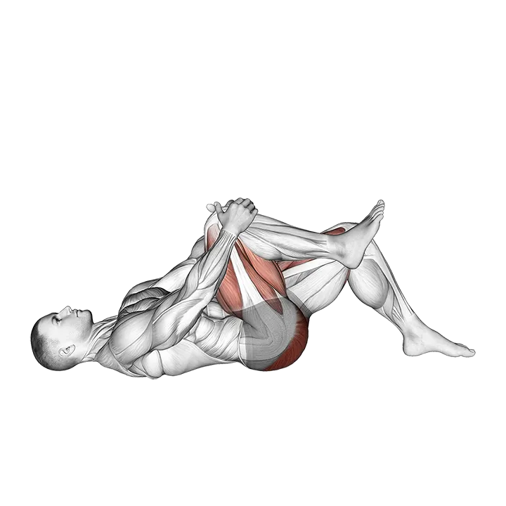 Single Leg Glute Bridge with Knee to Chest exercise animation (Male)