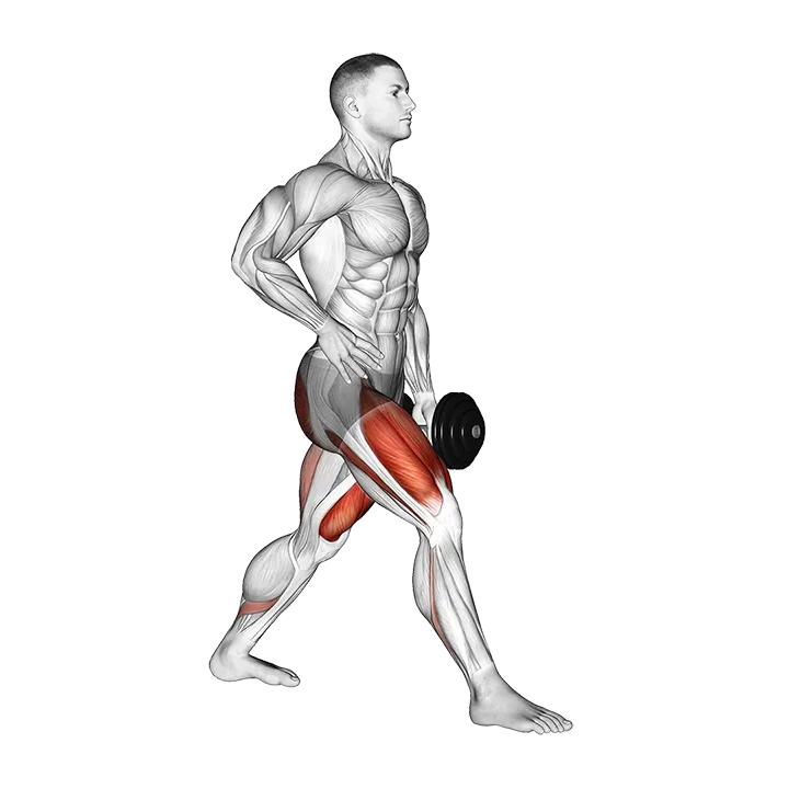 Dumbbell Ipsilateral Split Squat exercise animation (Male)
