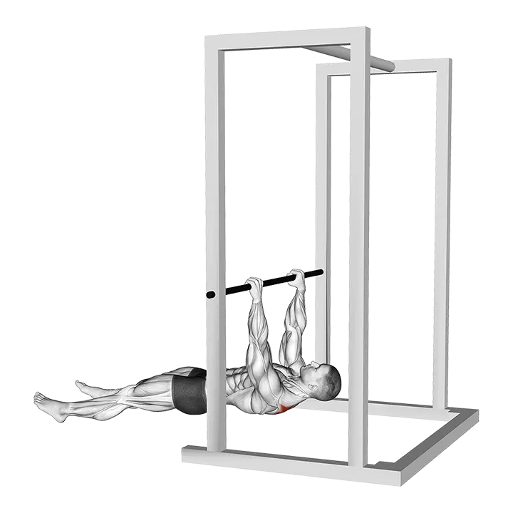 Inverted Shrug exercise animation (Male)