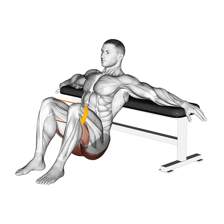 Resistance Band Hip Thrusts exercise animation (Male)