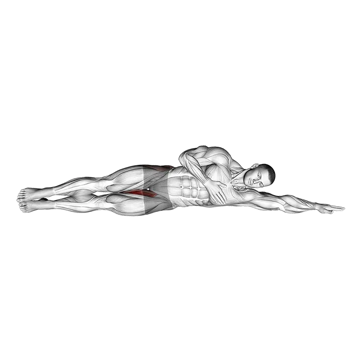 Side Lying Leg Raise exercise animation (Male)