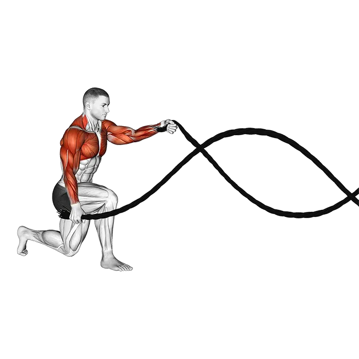Battling Ropes Half Kneeling exercise animation (Männlich)