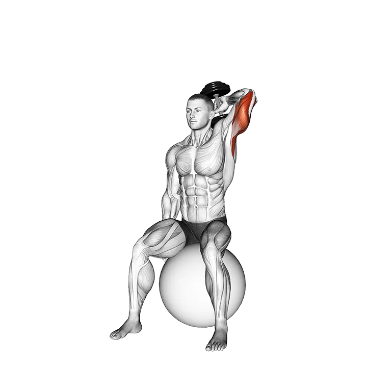 Dumbbell One Arm Triceps Extension on Stability Ball exercise animation (Male)