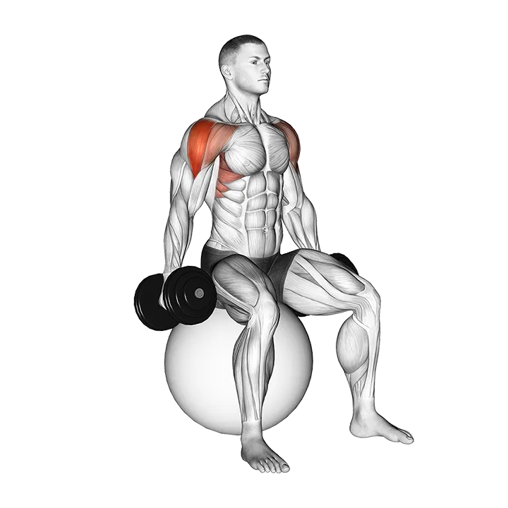 Dumbbell Seated Lateral Raise on Stability Ball exercise animation (Male)