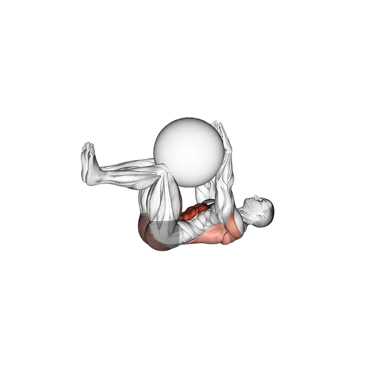 Dead Bug with Stability Ball exercise animation (Male)