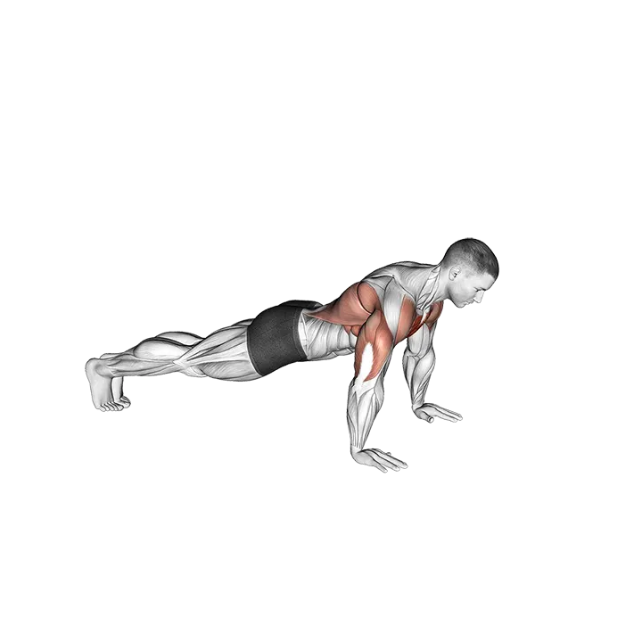Bird Dog Push-Up exercise animation (Male)