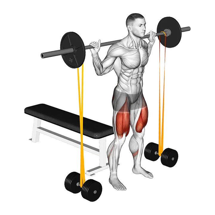 Barbell Banded Bench Squat exercise animation (Male)