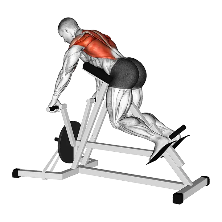Lever Lying Banded T-bar Row exercise animation (Male)