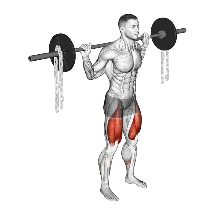 Barbell Squat with Chains exercise animation (Male)