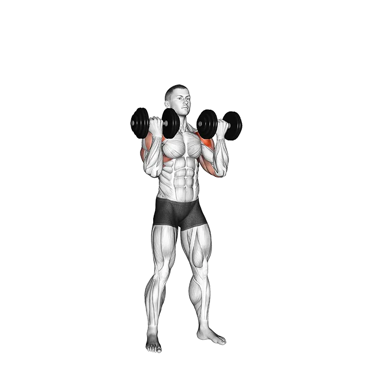 Dumbbell Standing Alternate Arnold Press exercise animation (Male)