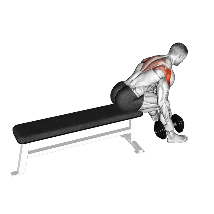 Dumbbell Seated Bent Over Alternate Rear Delt Fly exercise animation (Male)