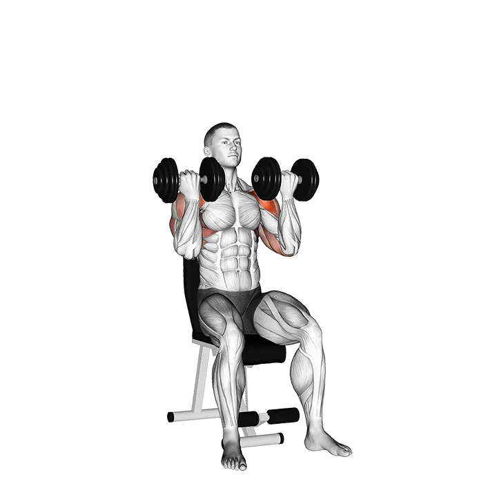 Dumbbell Alternate Arnold Press exercise animation (Male)