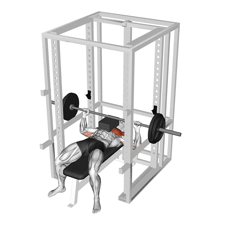 Barbell Bench Press with 3 board exercise animation (Male)