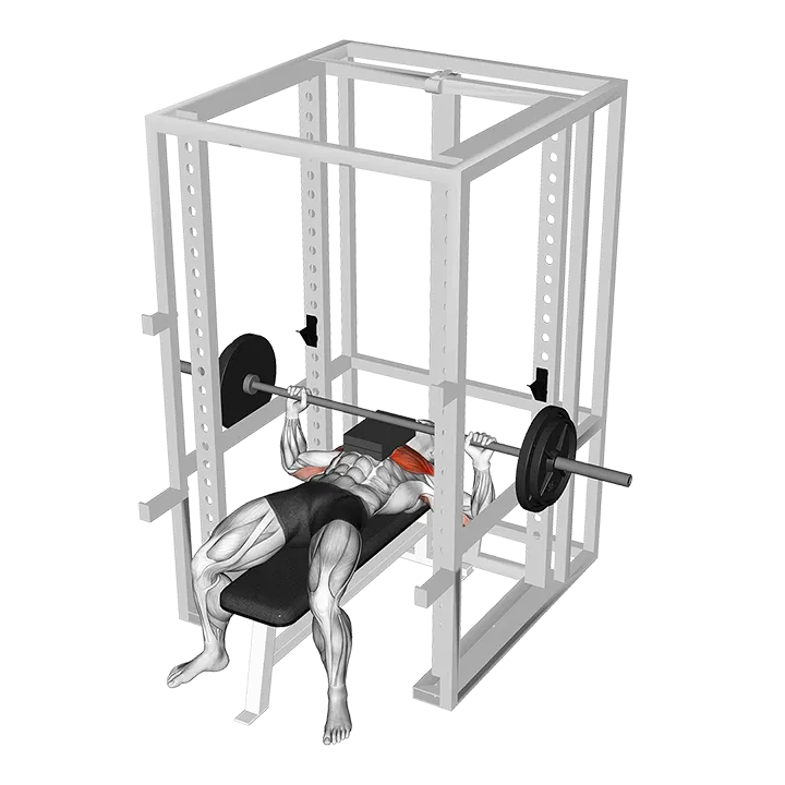Barbell Bench Press with 2 board exercise animation (Male)