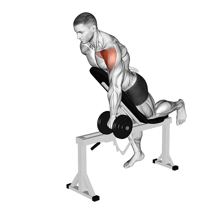 Dumbbell Incline One Arm Front Raise with Chest Support exercise animation (Male)