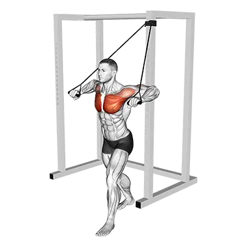 Band Low Chest Press