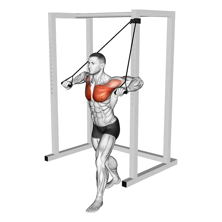 Band Low Chest Press exercise animation (Male)