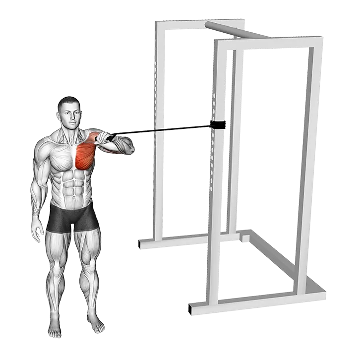 Band Cross Body One Arm Chest Press exercise animation (Male)
