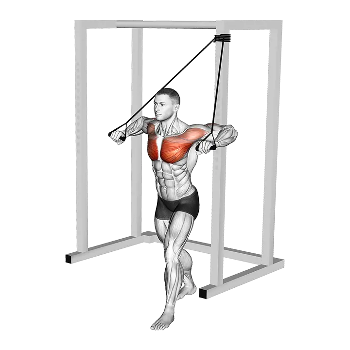 Band Low Alternate Chest Press exercise animation (Male)