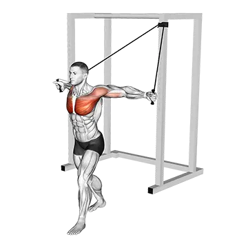 Band Alternate Low Chest Fly