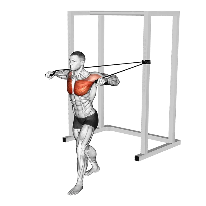 Band Standing Alternate Chest Press exercise animation (Male)