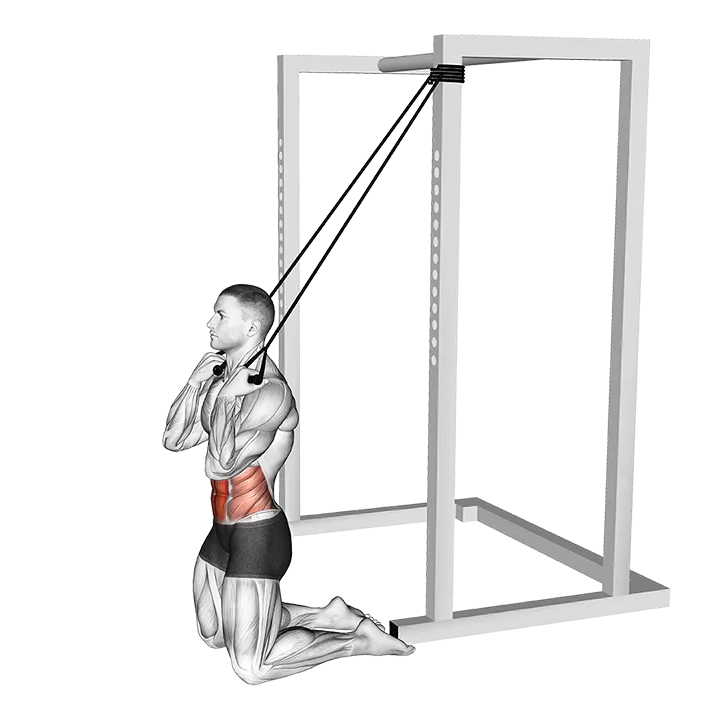 Band Kneeling Crunch exercise animation (Male)
