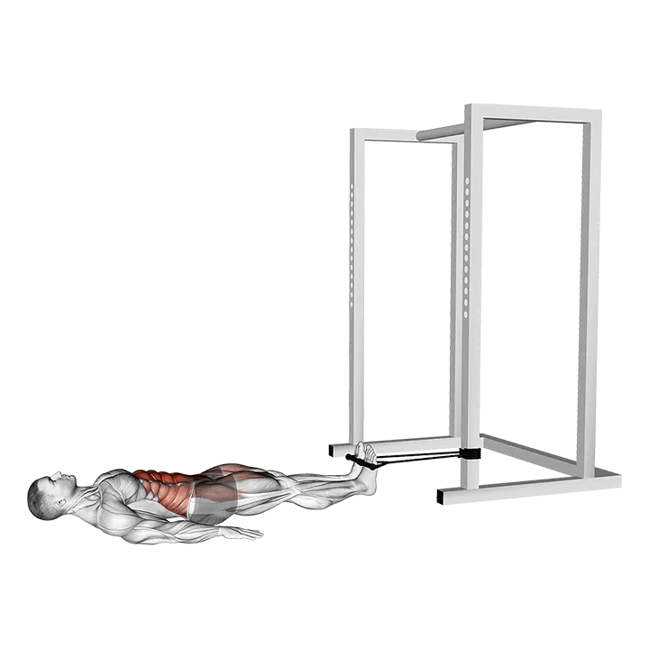 Band Reverse Crunch exercise animation (Male)