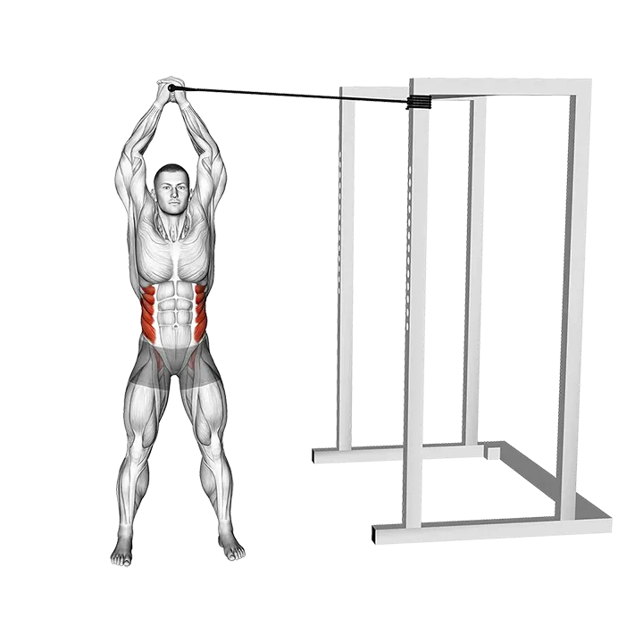 Band Overhead Side Bend exercise animation (Male)