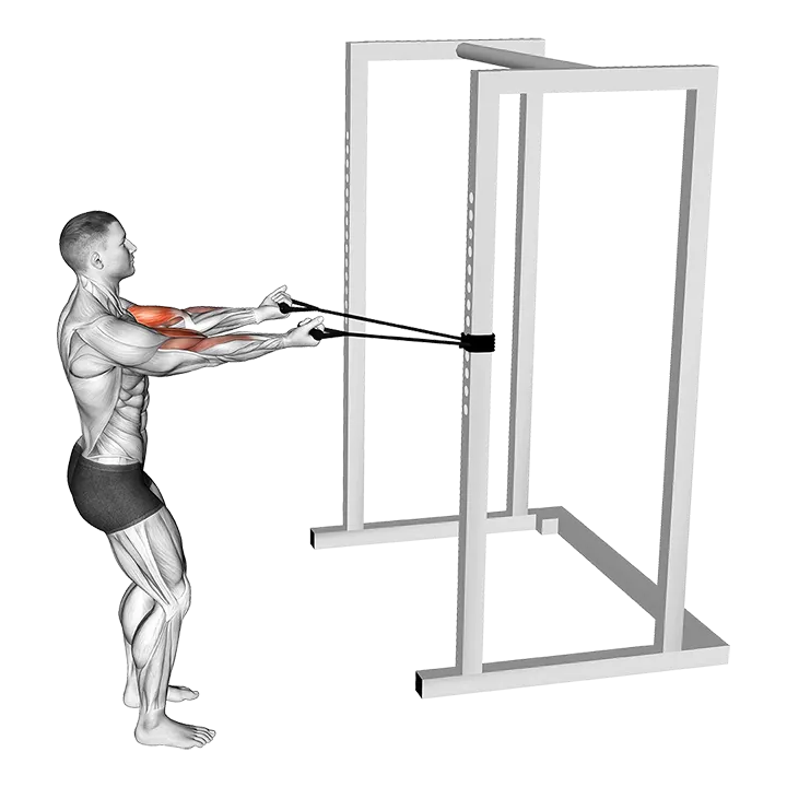 Band Horizontal Biceps Curl exercise animation (Male)