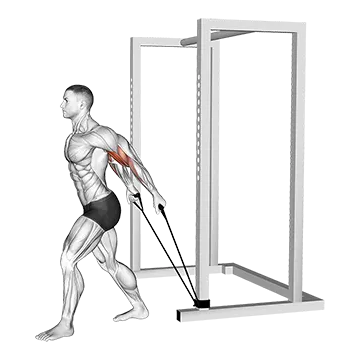 Band 45 degrees Biceps Curl