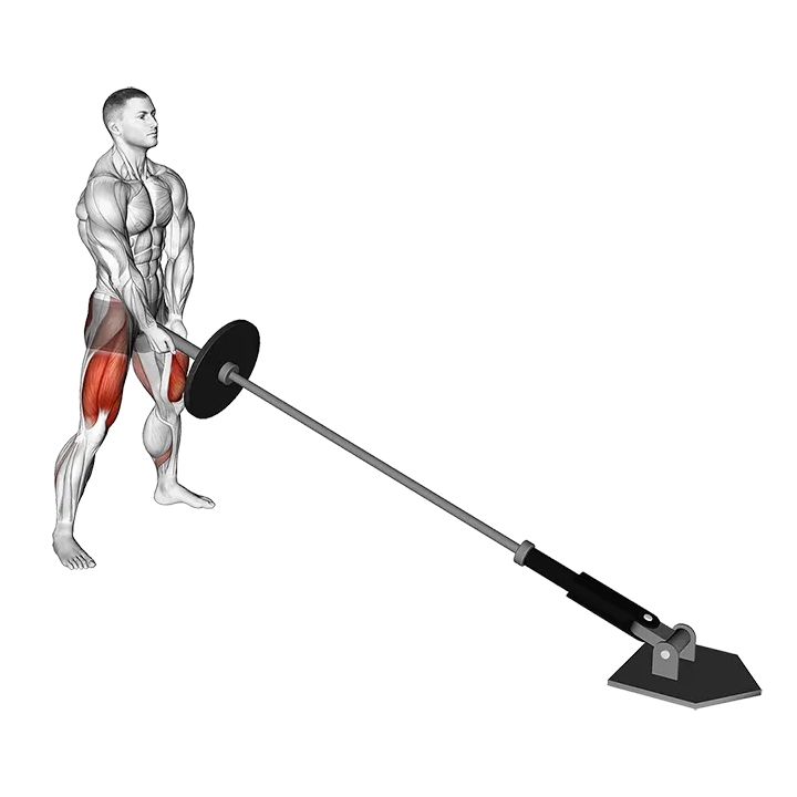 Landmine Sumo Squat exercise animation (Male)