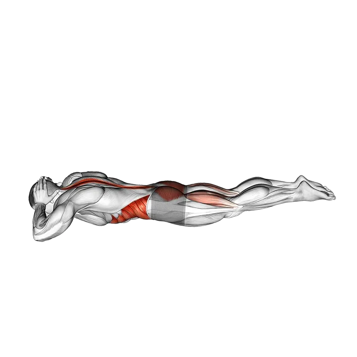 Twist Superman exercise animation (Male)