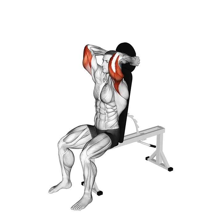 Weighted Seated Triceps Extension exercise animation (Male)