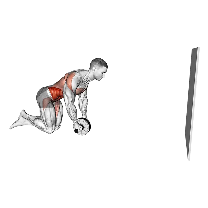 Wheel Rollout with Wall Support exercise animation (Male)